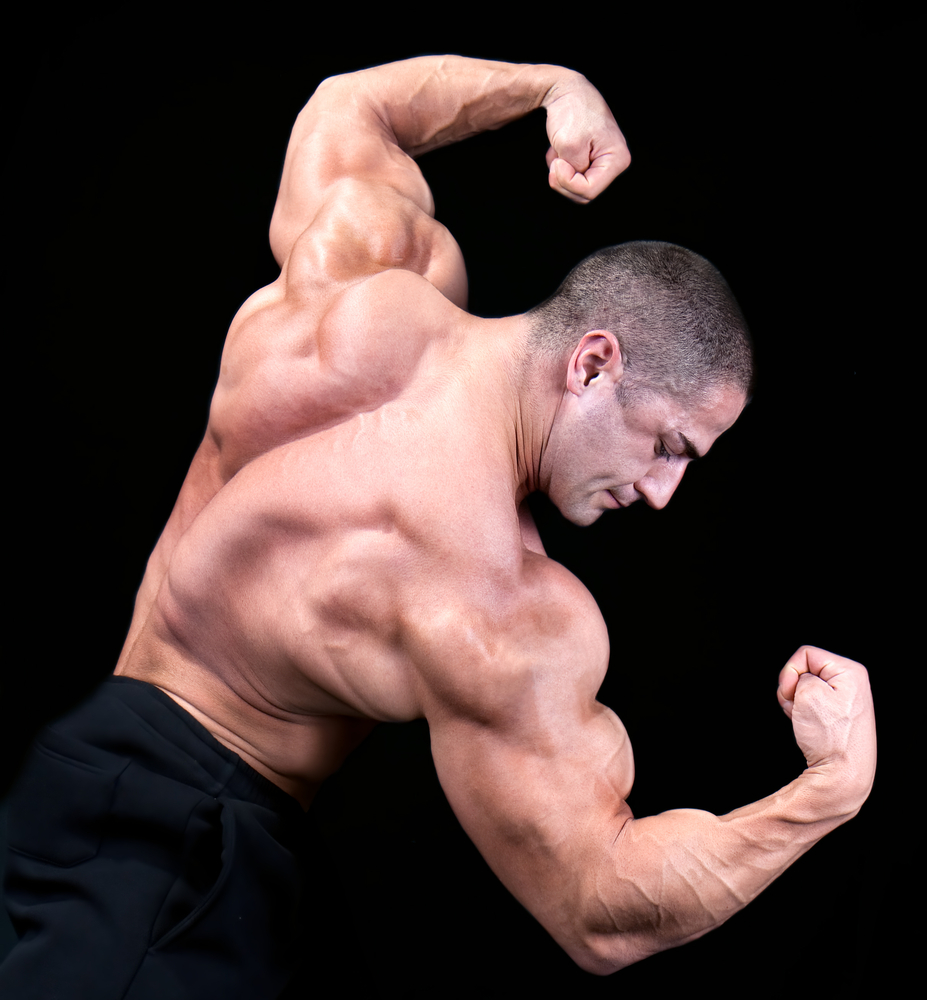 Bodybuilding: back double biceps.