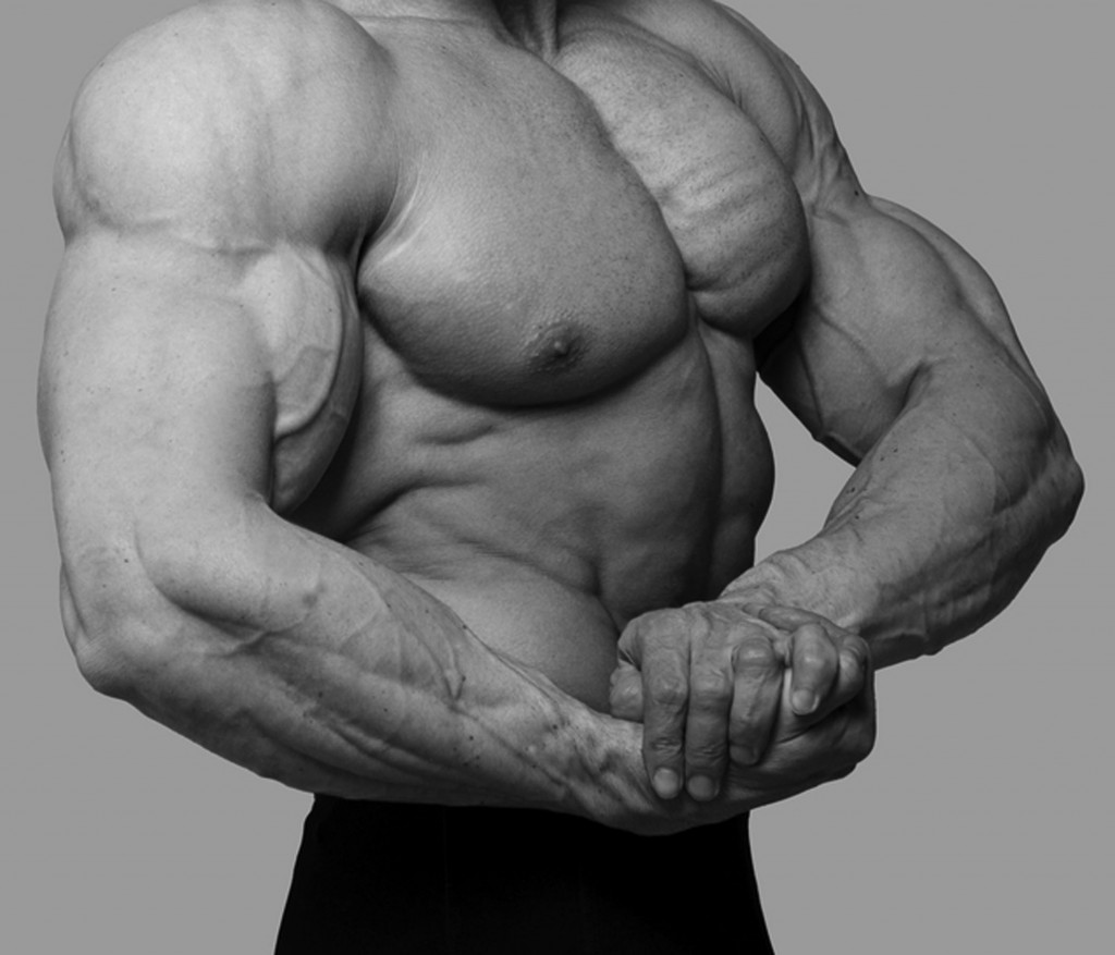 How to build muscle: 6 lies that kill your progress.
